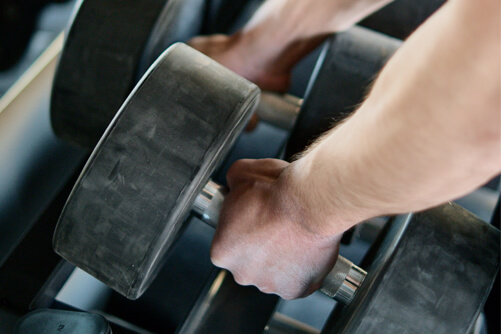 servicio gimnasio fira congress barcelona alexandre hotels servicio gimnasio fira congress barcelona alexandre hotels